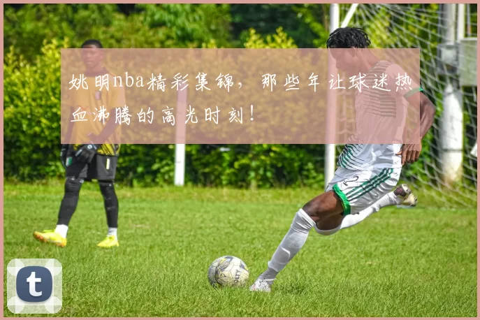 姚明nba精彩集锦,那些年让球迷热血沸腾的高光时刻!