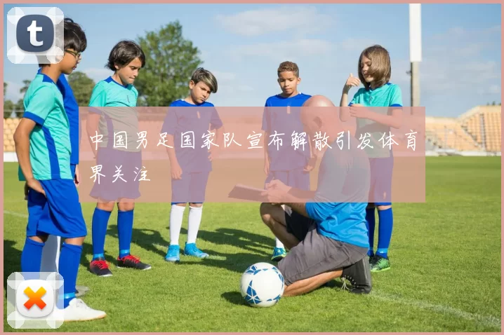 中国男足国家队宣布解散引发体育界关注