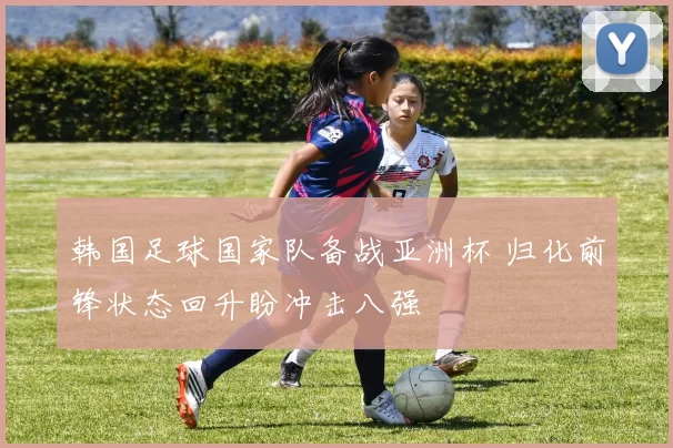 韩国足球国家队备战亚洲杯 归化前锋状态回升盼冲击八强