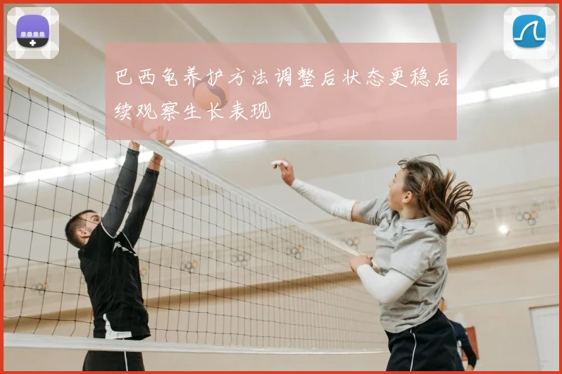 巴西龟养护方法调整后状态更稳后续观察生长表现