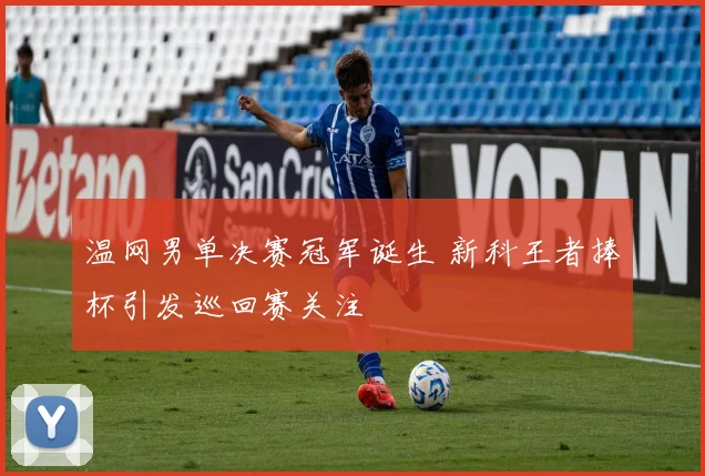 温网男单决赛冠军诞生 新科王者捧杯引发巡回赛关注